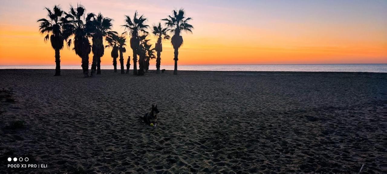Encantador Apto En La Playa Coma-ruga Ngoại thất bức ảnh