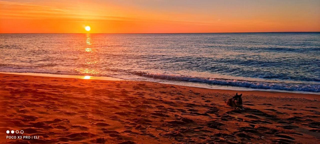 Encantador Apto En La Playa Coma-ruga Ngoại thất bức ảnh
